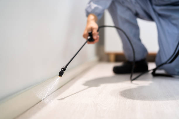 Licensed Termite Control service in Sumner County County, TN - Nex Pest Control